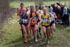 Senior womens 2019 British Athletics Inter Counties Cross Country, Prestwood Hall, Loughborough. Photo:  David T. Hewitson/Sports for All Pics